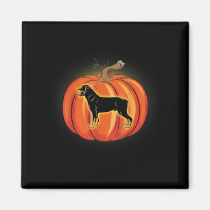 rottweiler pumpkin halloween costume dog lover magnet