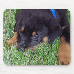 rottweiler pup. mouse mat