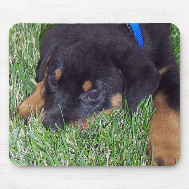 rottweiler pup. mouse mat (Front)
