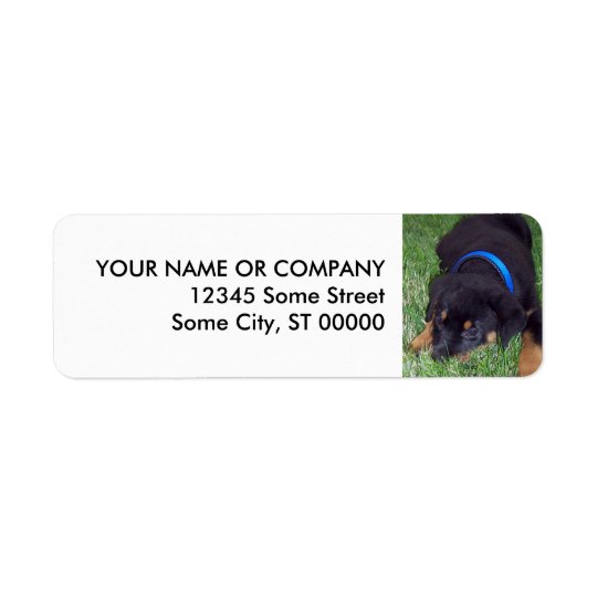 rottweiler pup. return address label