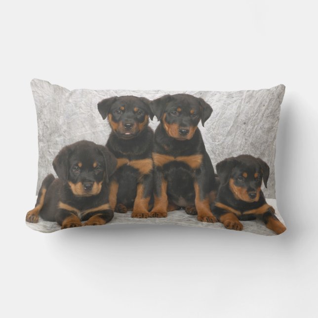 Rottweiler puppies lumbar cushion (Front)