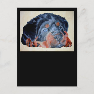 Rottweiler Puppy Artistic Pet Portrait Postcard