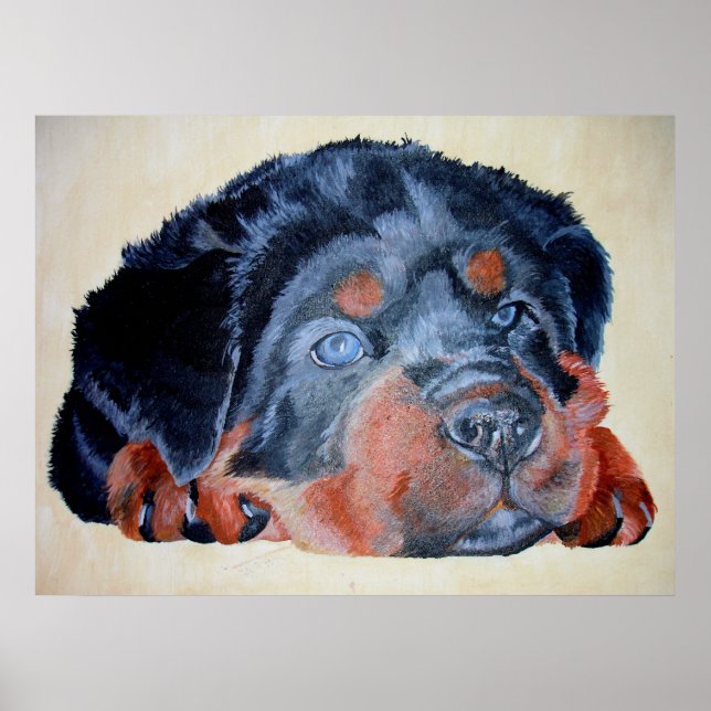 Rottweiler Puppy Artistic Pet Portrait Poster (Front)
