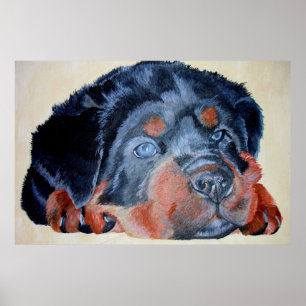 Rottweiler Puppy Artistic Pet Portrait Poster