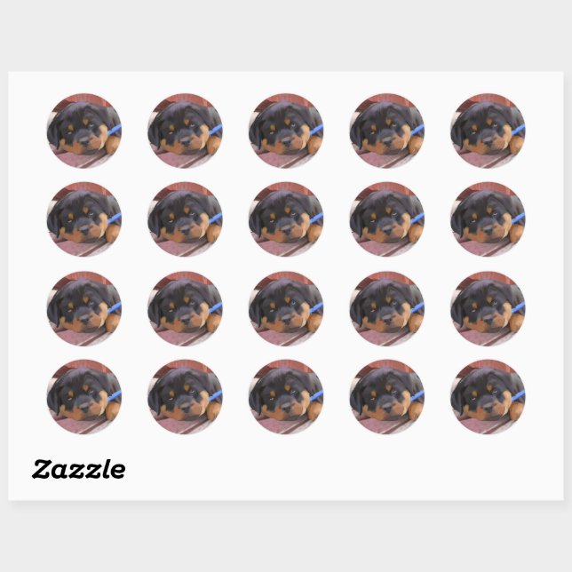 Rottweiler Puppy Classic Round Sticker (Sheet)
