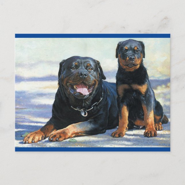 Rottweiler Puppy Dog Blank Postcard (Front)