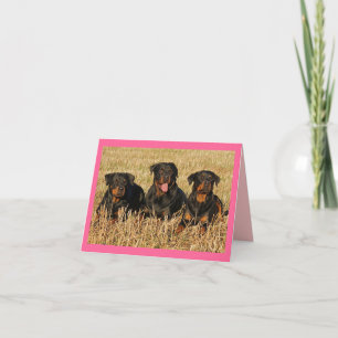 Rottweiler Puppy Dog Pink Blank Note Card