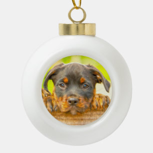 Rottweiler Puppy Dog Water Colour Oil Paint Art Ceramic Ball Christmas Ornament