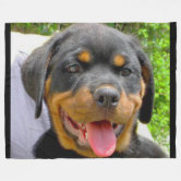 Rottweiler hotsell throw blanket