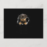 Rottweiler Puppy If I Could Give You Any Funny Gif