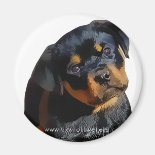 Rottweiler puppy magnet
