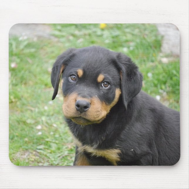 Rottweiler Puppy Mouse Mat (Front)