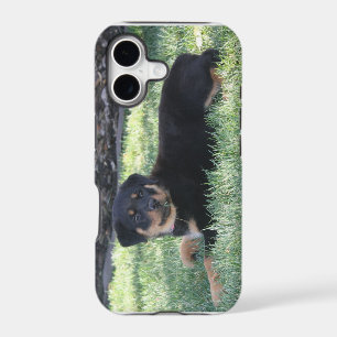 Rottweiler Puppy phone case