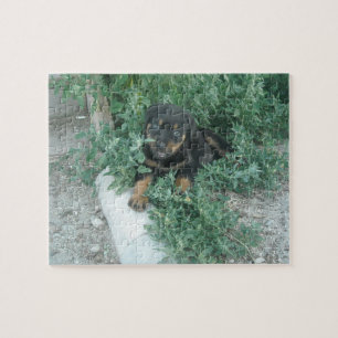 Rottweiler Puppy Photo Jigsaw Puzzle