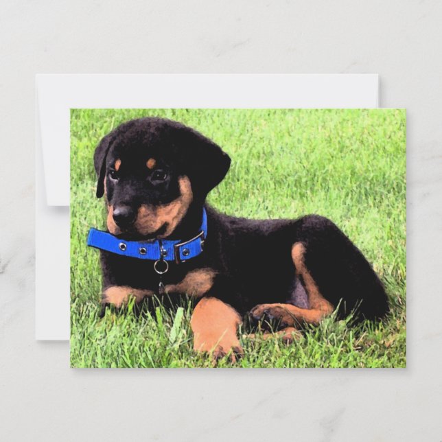 rottweiler pups invitation (Front)