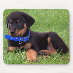 rottweiler pups. mouse mat