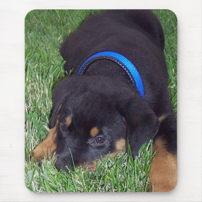 rottweiler pus. mouse mat (Front)