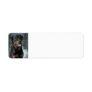 Rottweiler Return Address Label