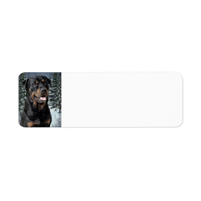 Rottweiler Return Address Label (Front)