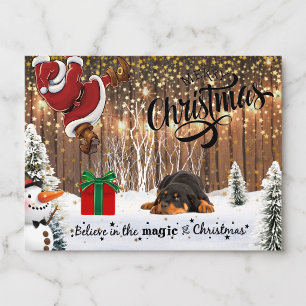 Rottweiler, Santa, Christmas Postcard