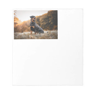 rottweiler sitting in frosty grass notepad