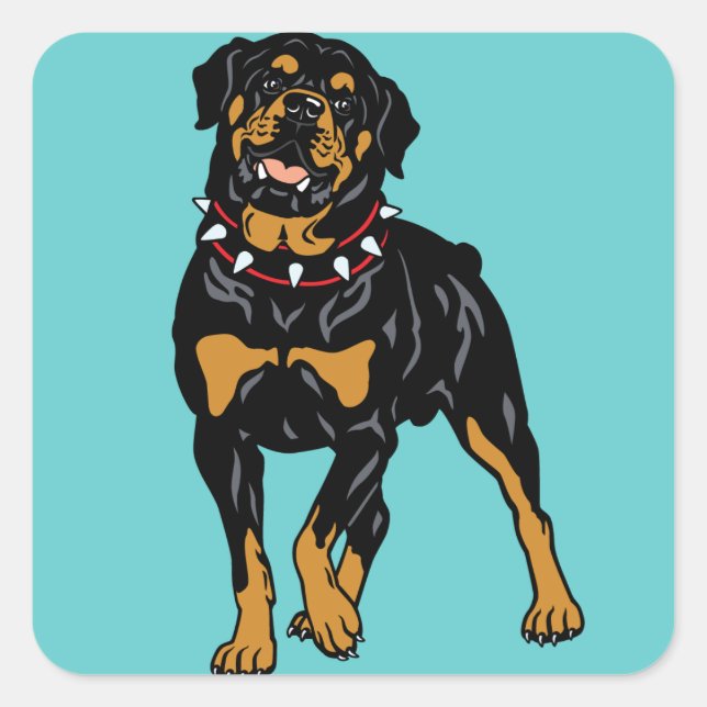 rottweiler square sticker (Front)