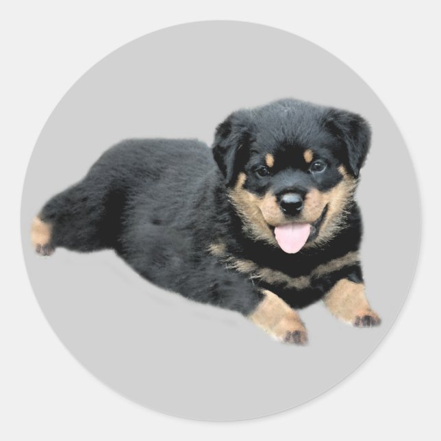Rottweiler Sticker (Front)