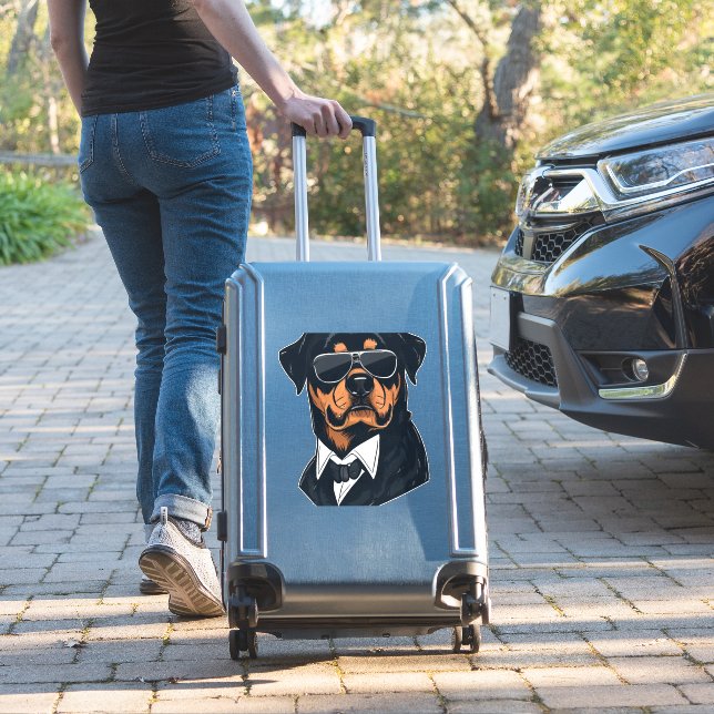 Rottweiler The Gentlemen  (Suitcase Insitu)