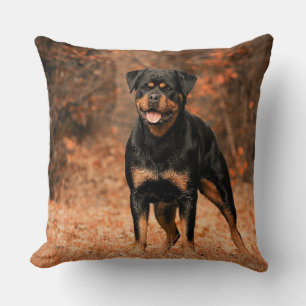 Rottweiler Throw Pillow