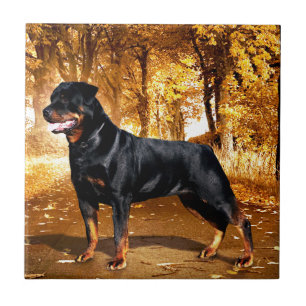 Rottweiler Tile