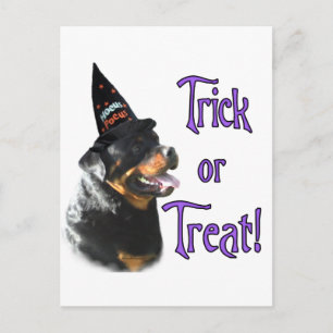 Rottweiler Trick Postcard