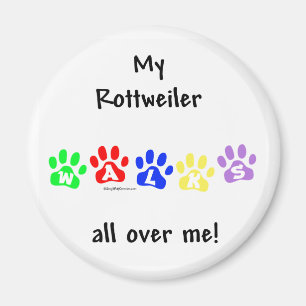 Rottweiler Walks All Over Me - Magnet