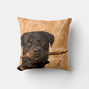 Rottweiler With A Stick Cushion