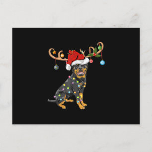 Rottweiler Xmas Gift Santas Reindeer Rottweiler Postcard
