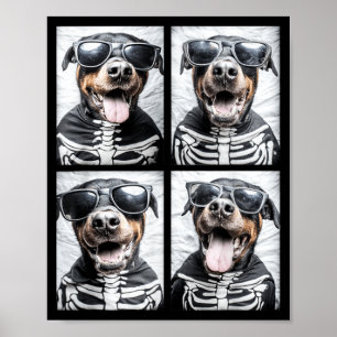 Rottweilers With Sungles Skeleton Costume Poster