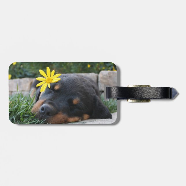 Rottweiller Luggage Tag (Back Horizontal)