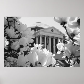 Rotunda and Flowers Poster