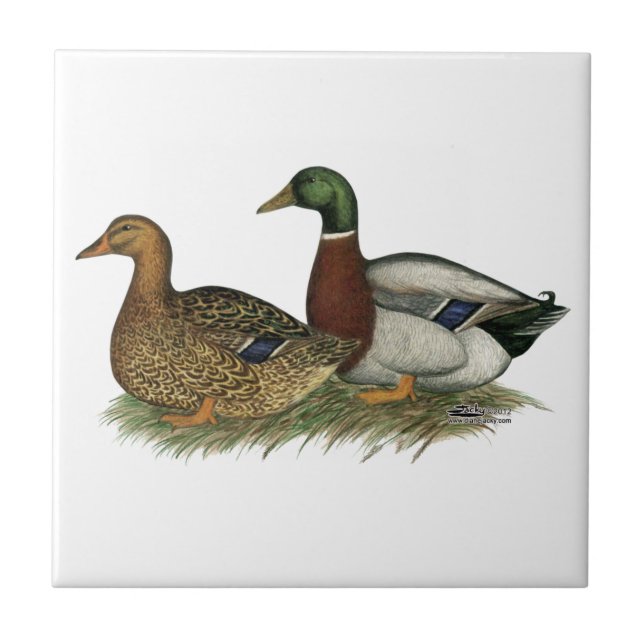 Rouen Ducks Tile (Front)