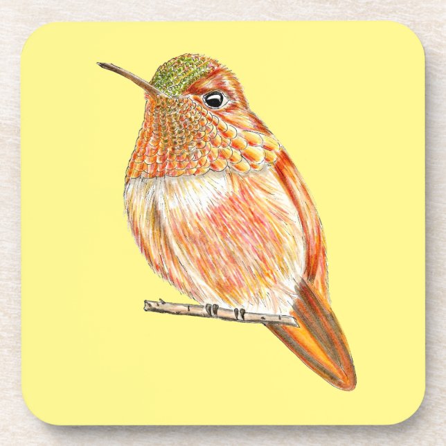 Roufus Hummingbird Perched Orange Illustration Coaster (Front)