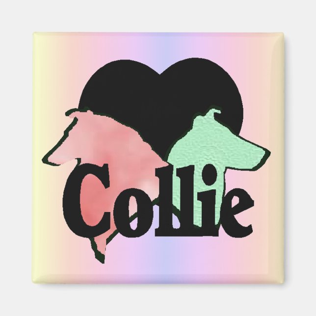 Rough and Smooth Collie Gifts Magnet (Front)