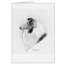 Rough Coat Collie Pen & Ink - Juliet Vs Valley Fev