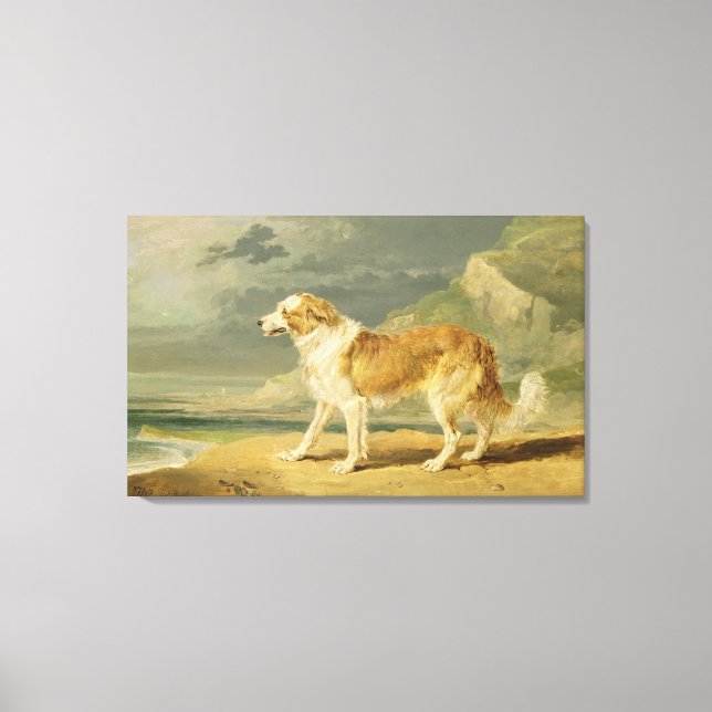 Rough-coated Collie, 1809 (oil on board) Canvas Print (Front)