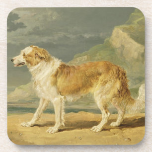 Rough-coated Collie, 1809 (oil on board) Coaster