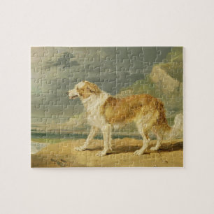 Rough-coated Collie, 1809 (oil on board) Jigsaw Puzzle