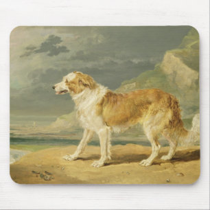 Rough-coated Collie, 1809 (oil on board) Mouse Mat