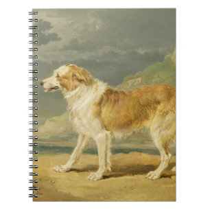 Rough-coated Collie, 1809 (oil on board) Notebook