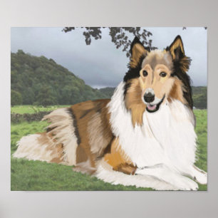 Rough Collie against the Yorkshire Dales Poster