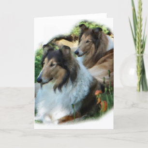 Rough Collie Art Gifts Card