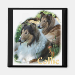 Rough Collie Art Gifts Magnet