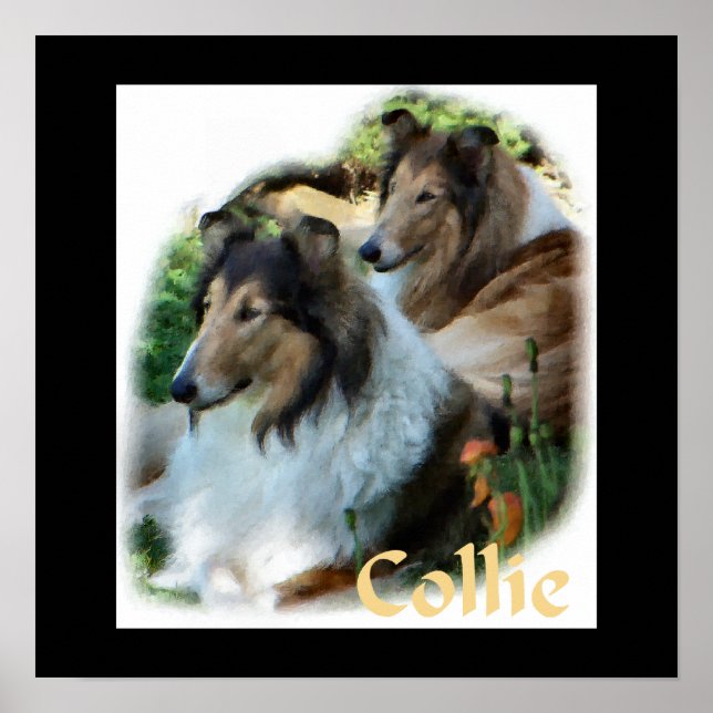 Rough Collie Art Gifts Poster (Front)